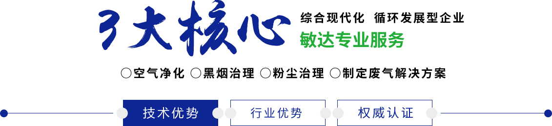 少妇搞大黑屌敏达环保科技（嘉兴）有限公司